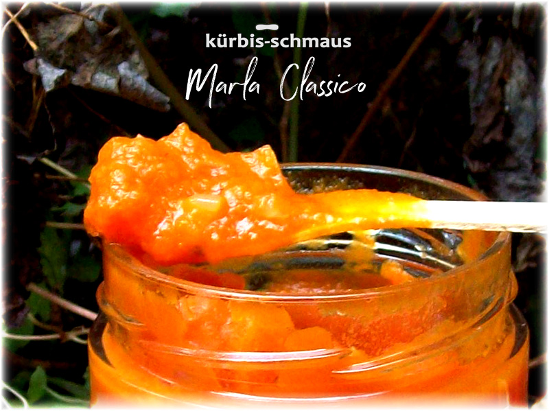 kürbis sugo