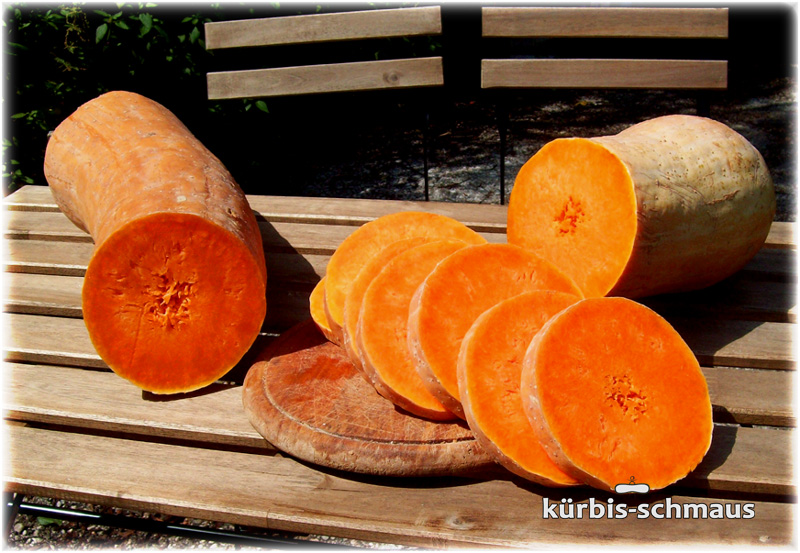 Lagerkürbis anschnitt  im Sommer